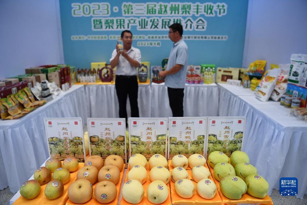 博万通登入